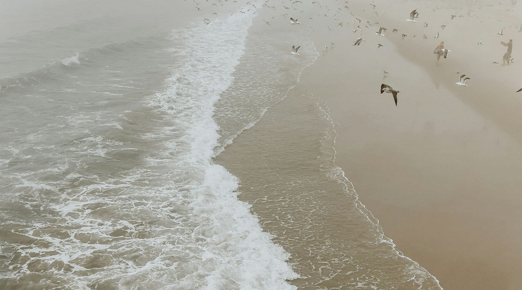 a shoreline with waves beach and birds flying